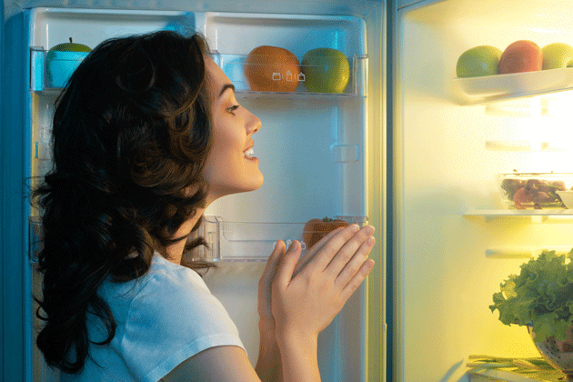 Refrigerator brands